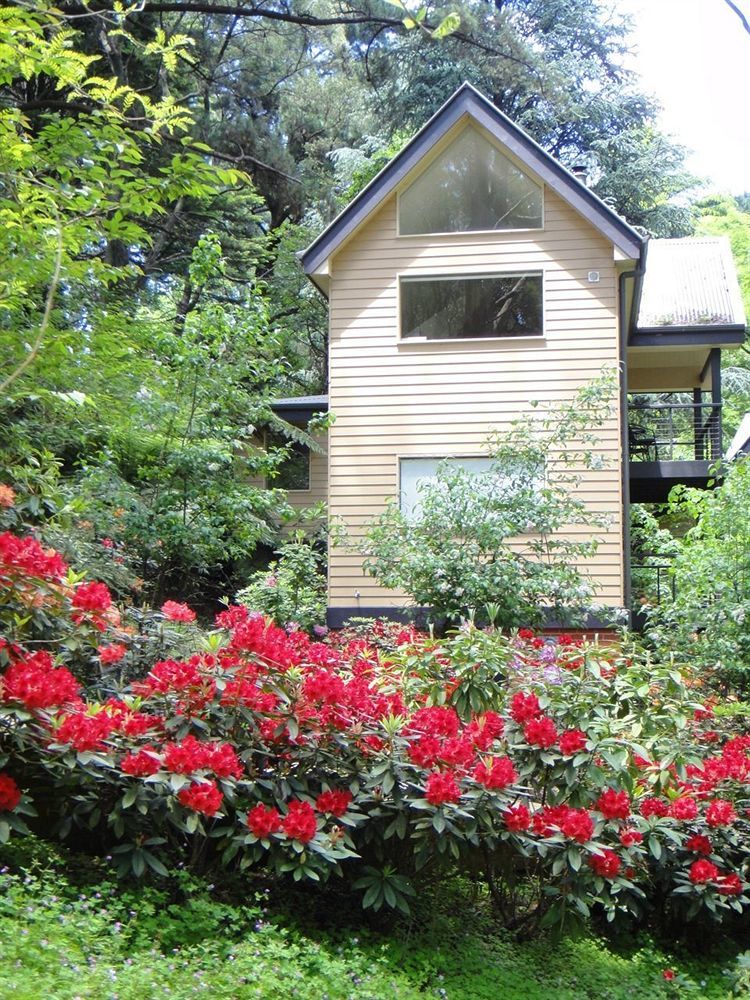 Lochiel Luxury Accommodation Olinda Exterior foto